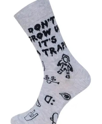 Носки мужские 2127 БРЕСТ CLASSIC 530