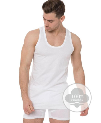 Maiou barbati 1001