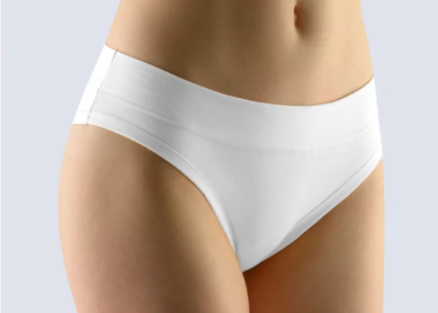 Briefs